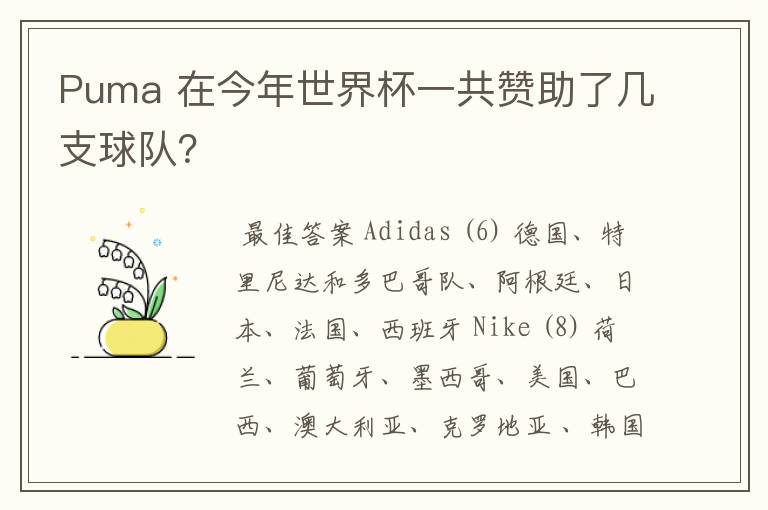 Puma 在今年世界杯一共赞助了几支球队?