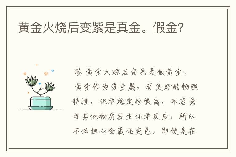 黄金火烧后变紫是真金。假金?
