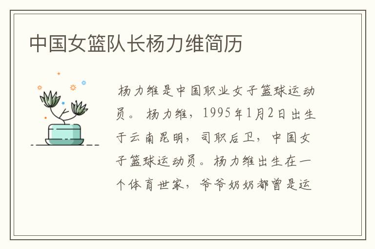 中国女篮队长杨力维简历