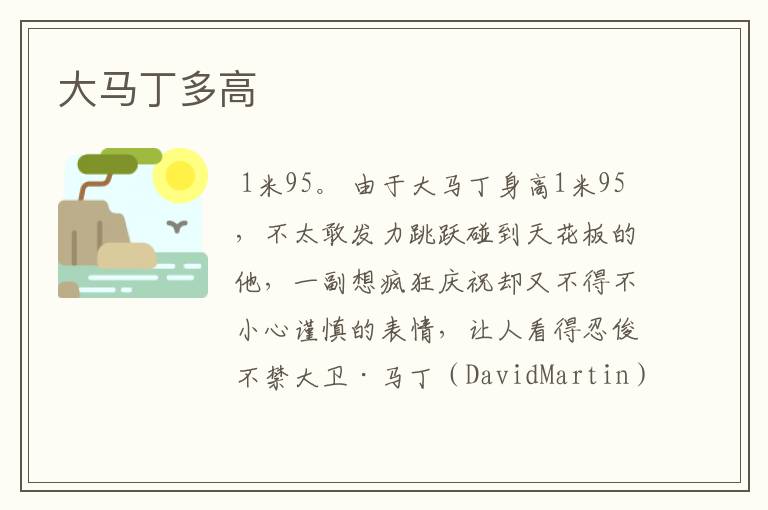 大马丁多高