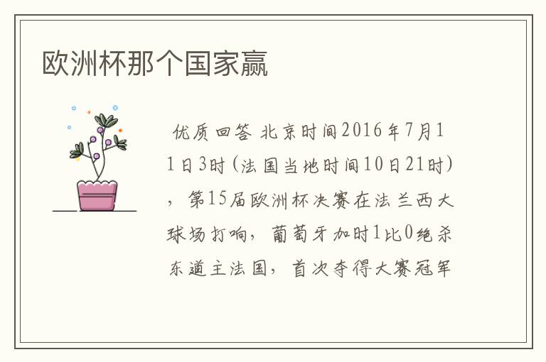 欧洲杯那个国家赢