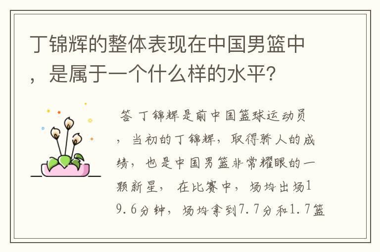 丁锦辉的整体表现在中国男篮中,是属于一个什么样的水平?