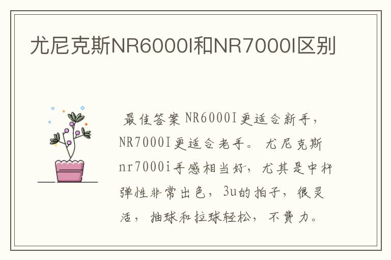 尤尼克斯NR6000I和NR7000I区别