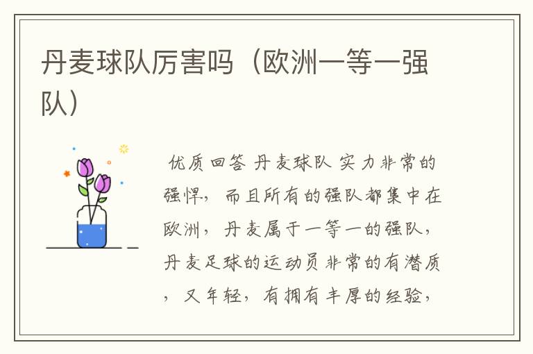 丹麦球队厉害吗(欧洲一等一强队)