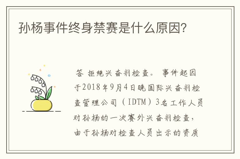 孙杨事件终身禁赛是什么原因?