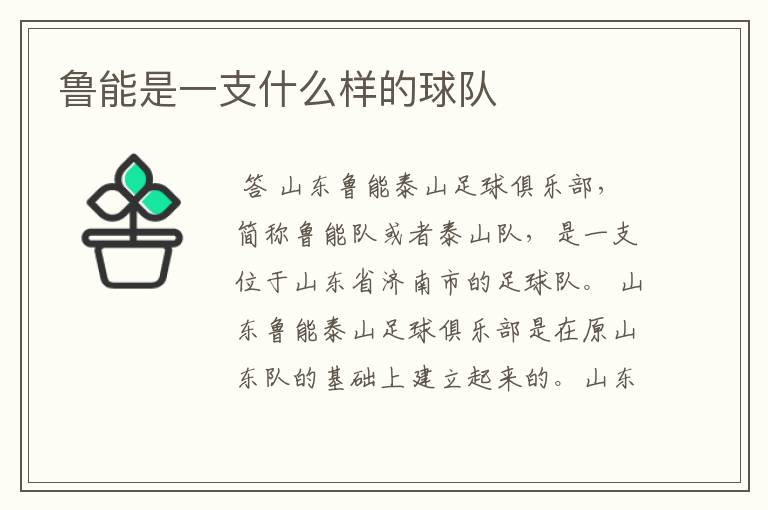 鲁能是一支什么样的球队
