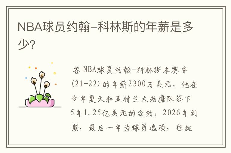 NBA球员约翰-科林斯的年薪是多少?
