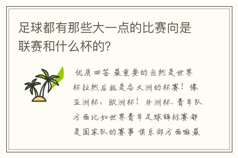 足球都有那些大一点的比赛向是联赛和什么杯的？