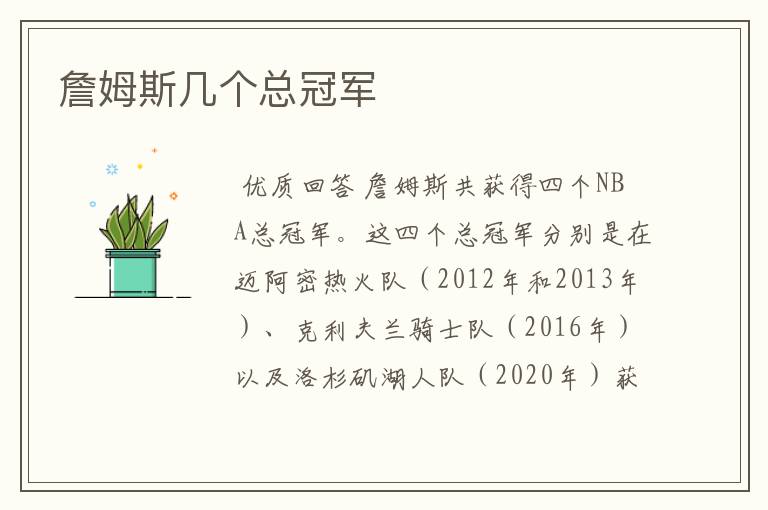 詹姆斯几个总冠军