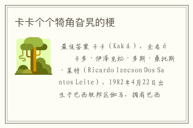 卡卡个个犄角旮旯的梗