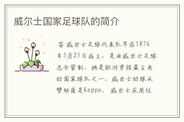 威尔士国家足球队的简介