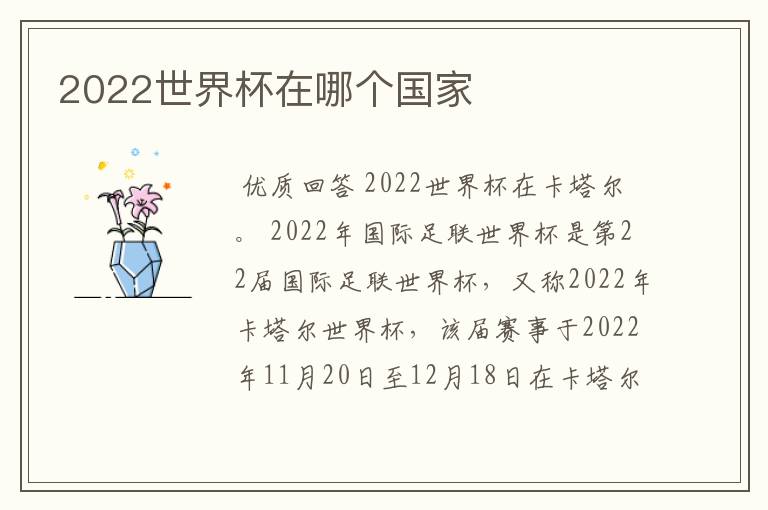 2022世界杯在哪个国家