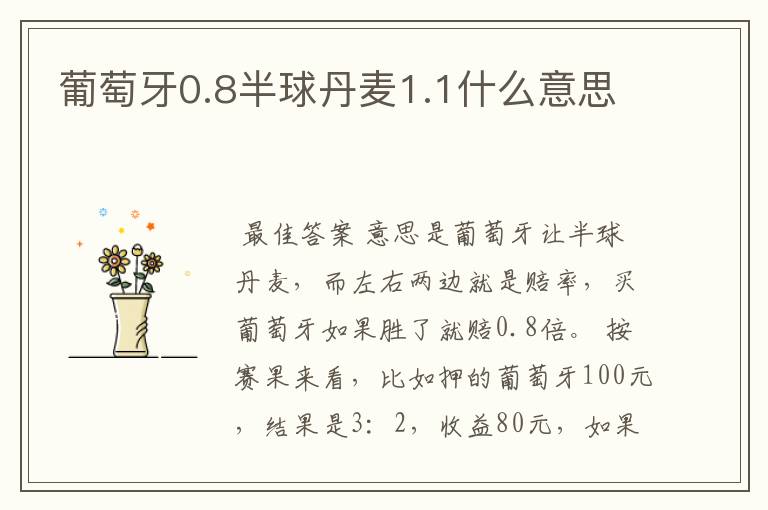 葡萄牙0.8半球丹麦1.1什么意思