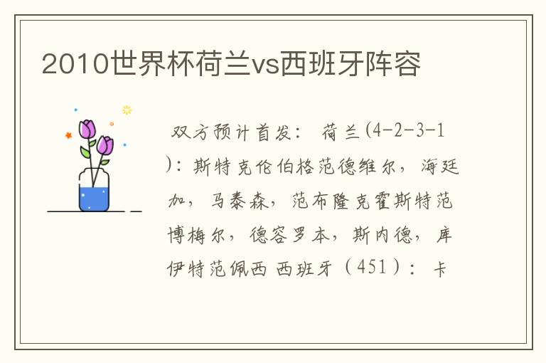 2010世界杯荷兰vs西班牙阵容