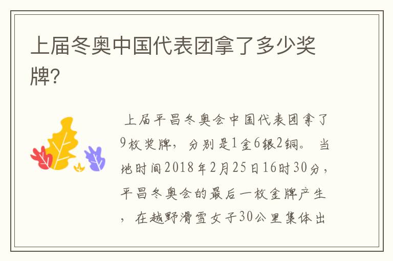 上届冬奥中国代表团拿了多少奖牌?