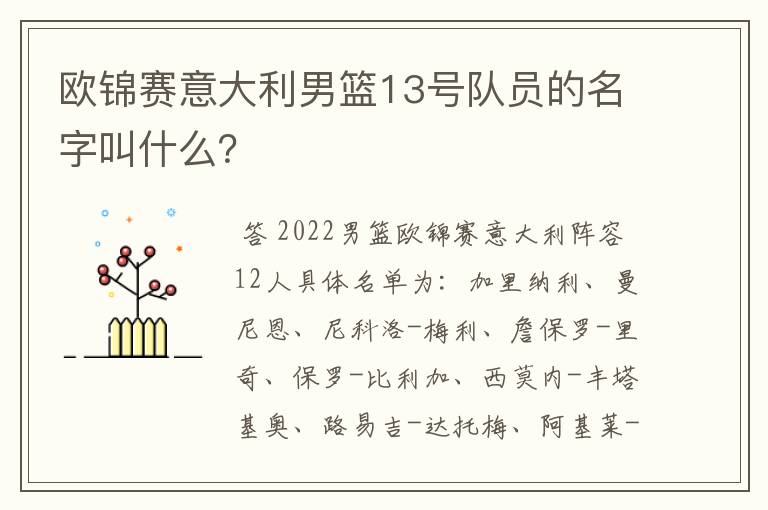 欧锦赛意大利男篮13号队员的名字叫什么?