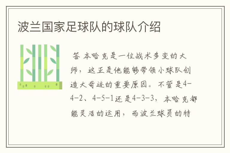 波兰国家足球队的球队介绍