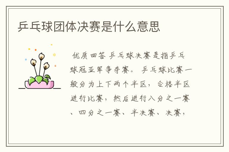 乒乓球团体决赛是什么意思