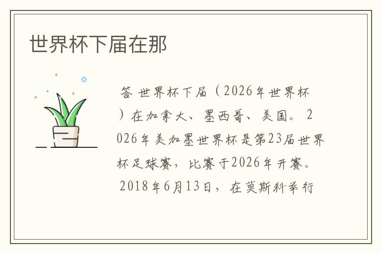 世界杯下届在那