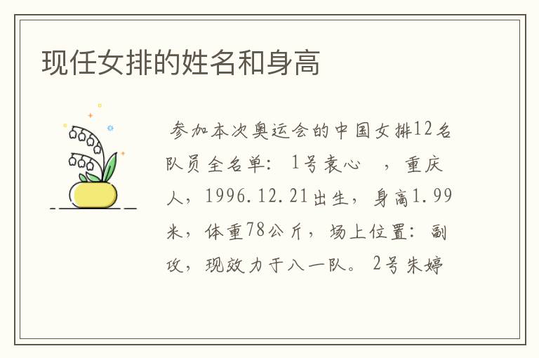 现任女排的姓名和身高
