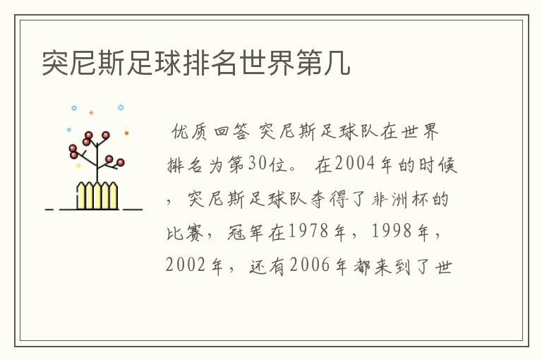 突尼斯足球排名世界第几