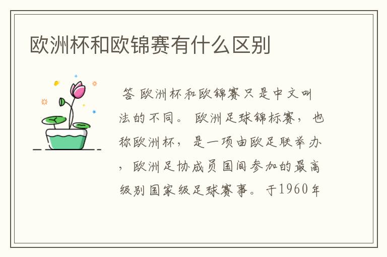 欧洲杯和欧锦赛有什么区别