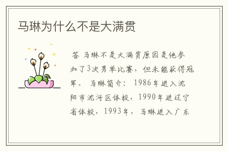 马琳为什么不是大满贯
