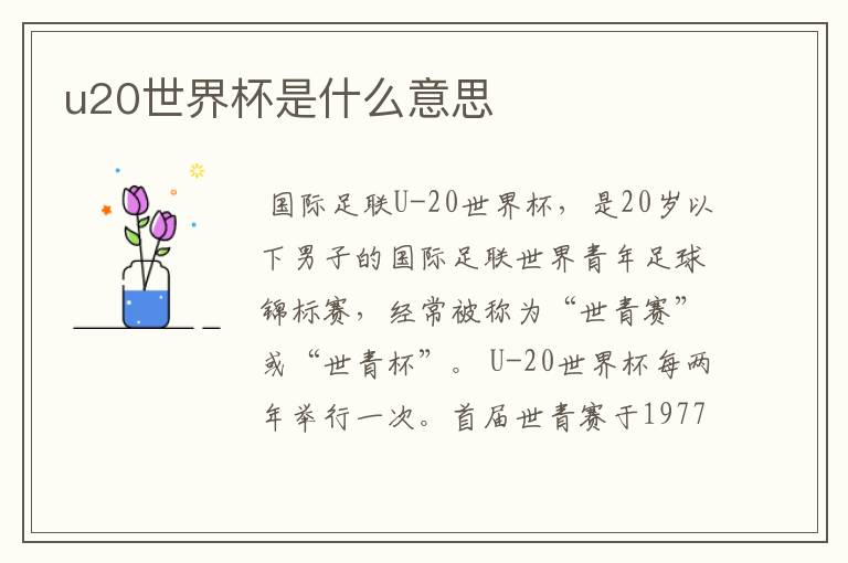 u20世界杯是什么意思