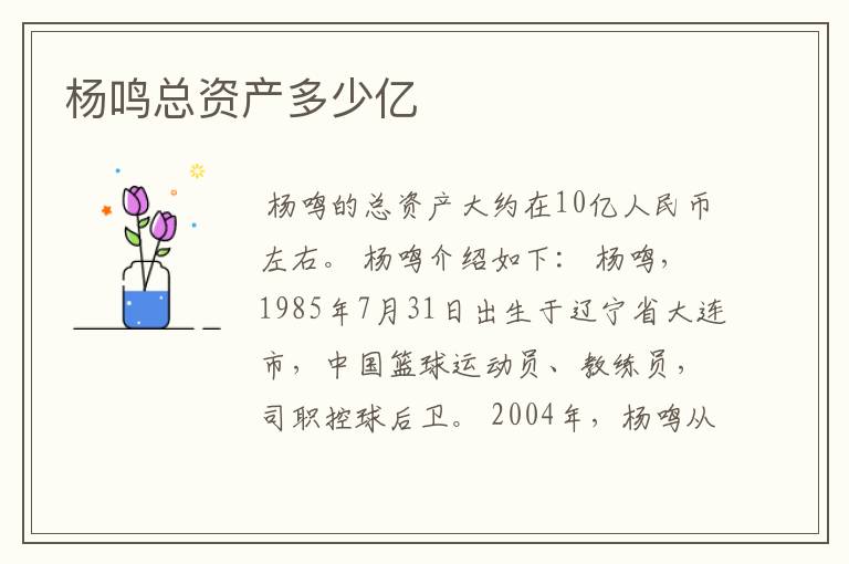 杨鸣总资产多少亿