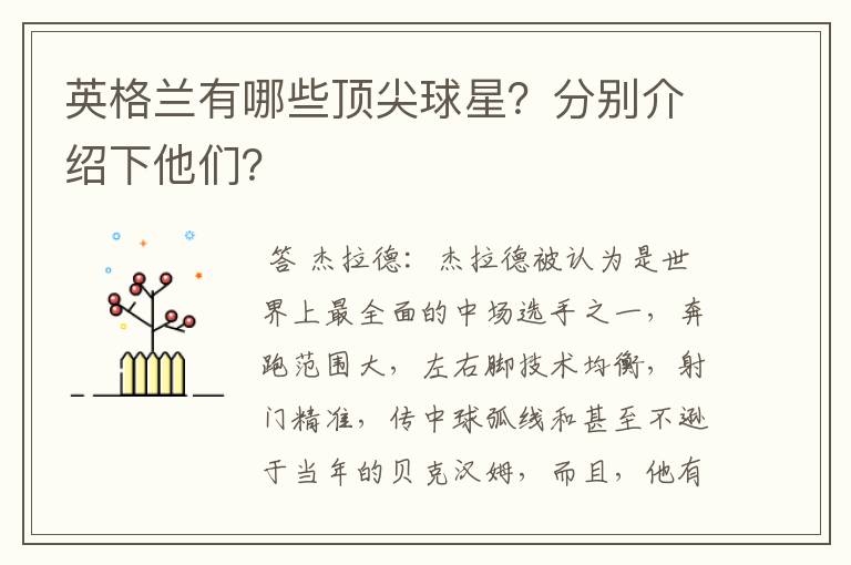 英格兰有哪些顶尖球星?分别介绍下他们?