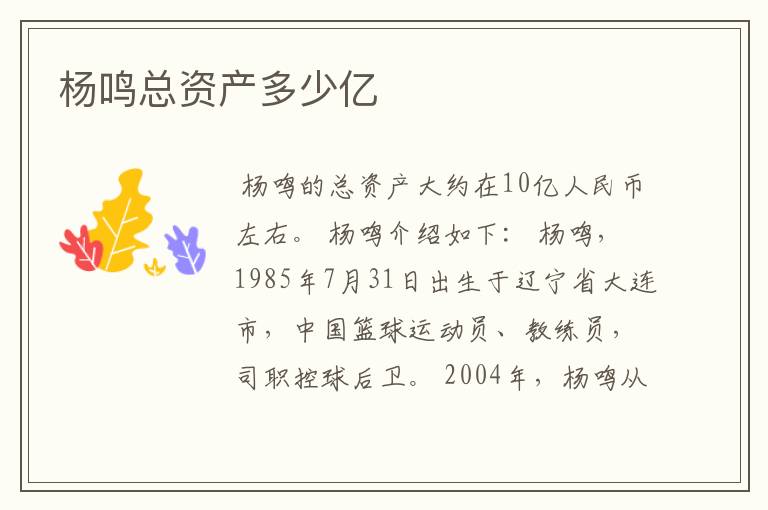 杨鸣总资产多少亿