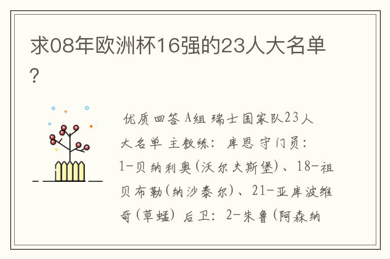 求08年欧洲杯16强的23人大名单?
