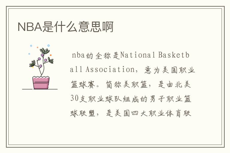 NBA是什么意思啊