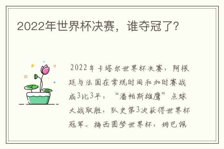 2022年世界杯决赛，谁夺冠了？