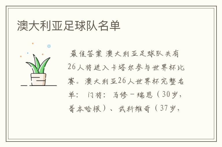 澳大利亚足球队名单