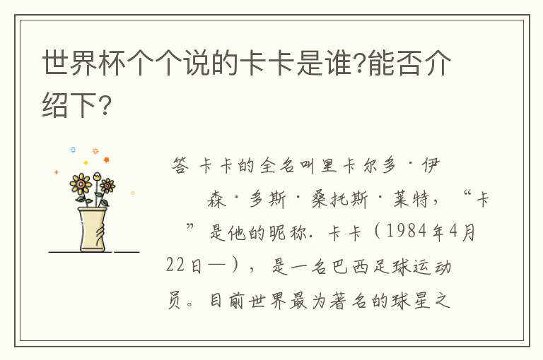 世界杯个个说的卡卡是谁?能否介绍下?