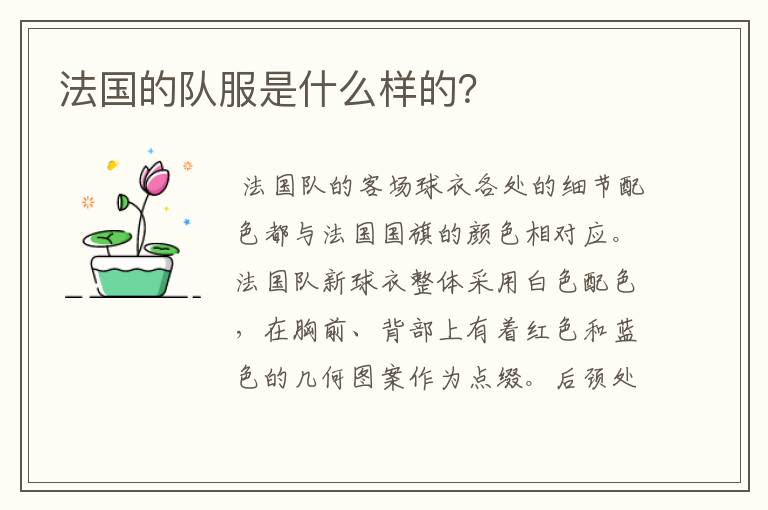 法国的队服是什么样的?