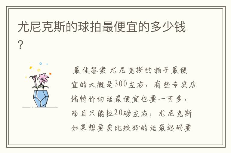 尤尼克斯的球拍最便宜的多少钱?
