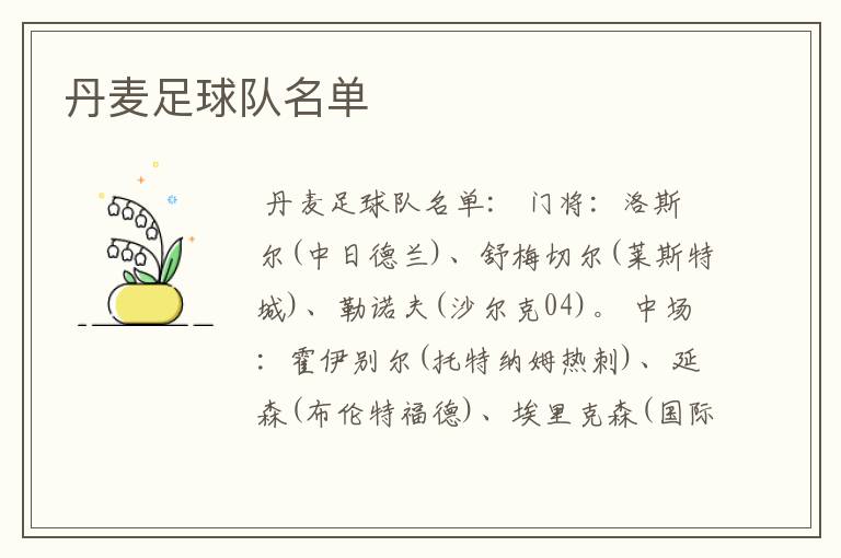 丹麦足球队名单