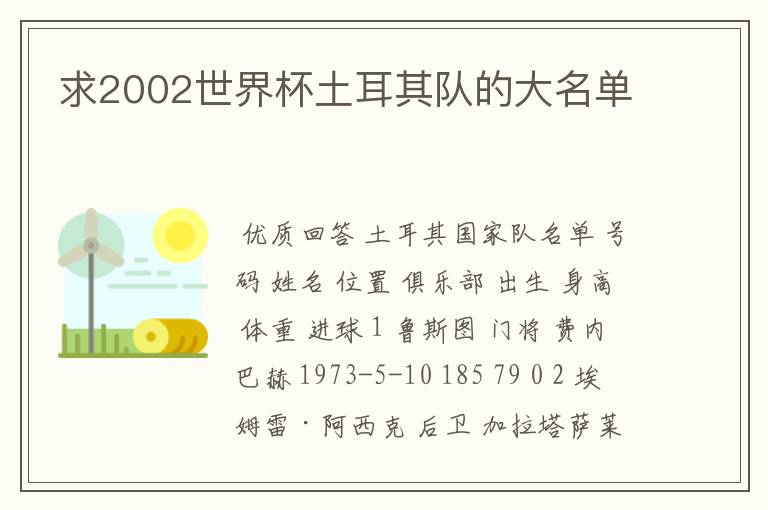 求2002世界杯土耳其队的大名单