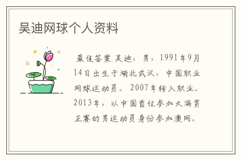 吴迪网球个人资料