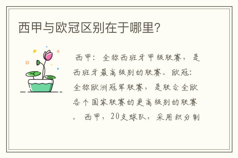 西甲与欧冠区别在于哪里?
