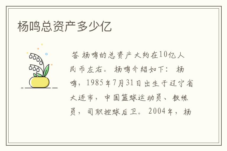 杨鸣总资产多少亿