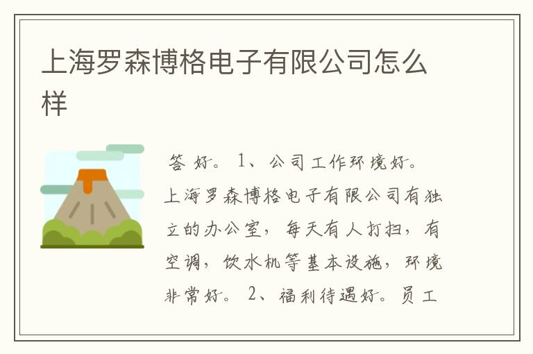 上海罗森博格电子有限公司怎么样
