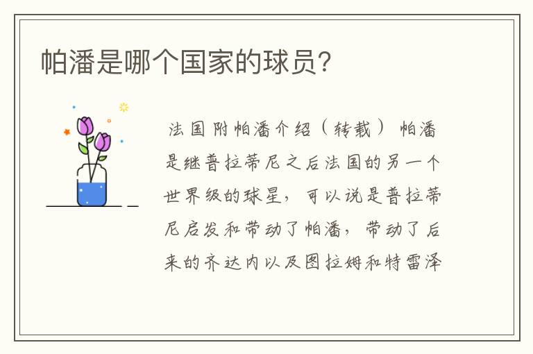 帕潘是哪个国家的球员?