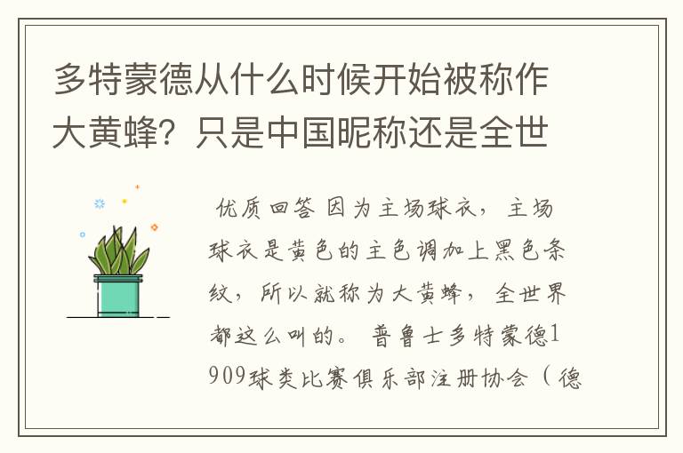 多特蒙德从什么时候开始被称作大黄蜂?只是中国昵称还是全世界范围都这么称呼
