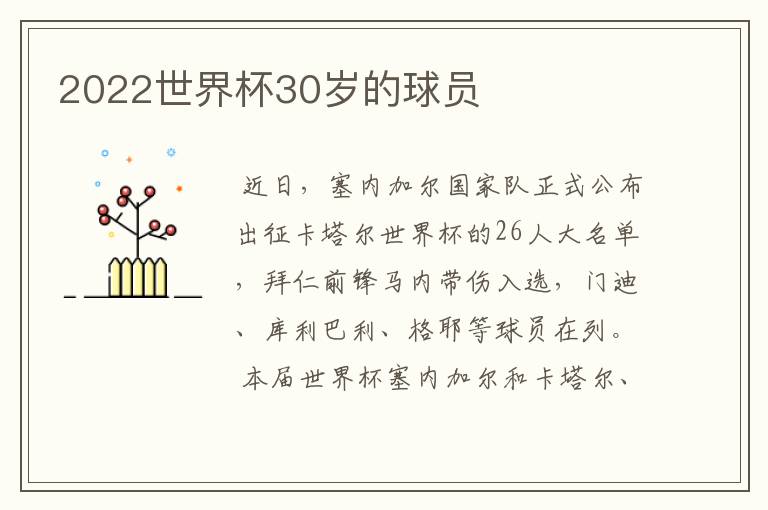 2022世界杯30岁的球员