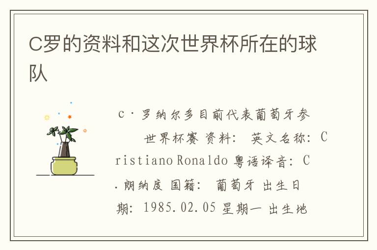 C罗的资料和这次世界杯所在的球队