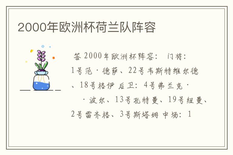 2000年欧洲杯荷兰队阵容