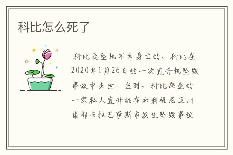 科比怎么死了